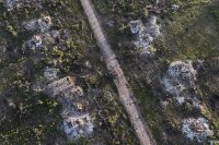 Kliščijivka. Foto - TASR/AP