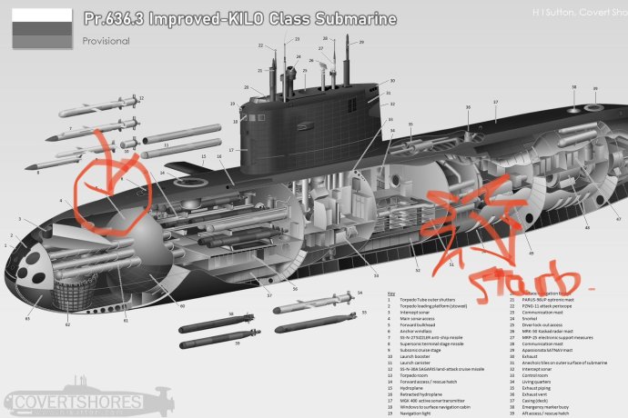 Znázornené poškodenia na schéme ponorky triedy Kilo. Zdroj - H. I. Sutton