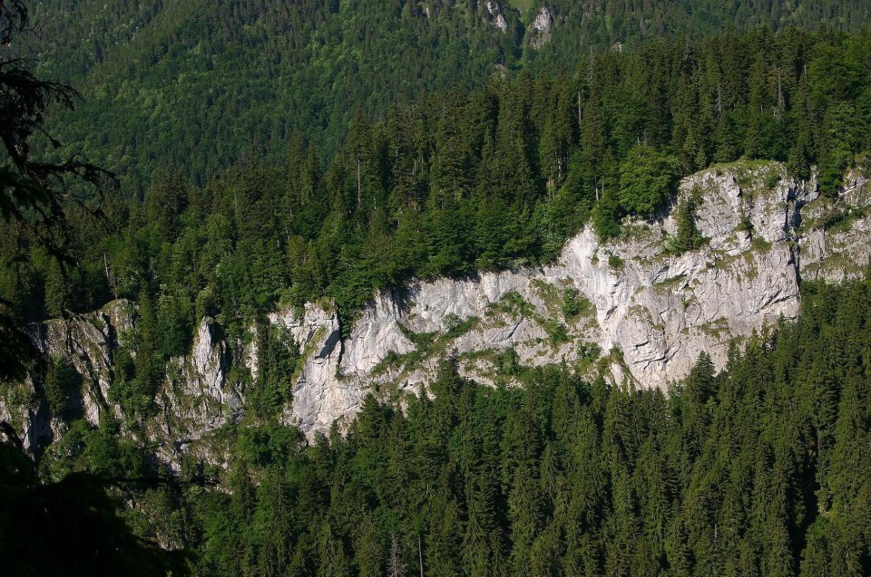 Skalné rady Brdo za Jazvečou, mapovanie pralesa Salatín v Nízkych Tatrách. Foto – Marián Jasík