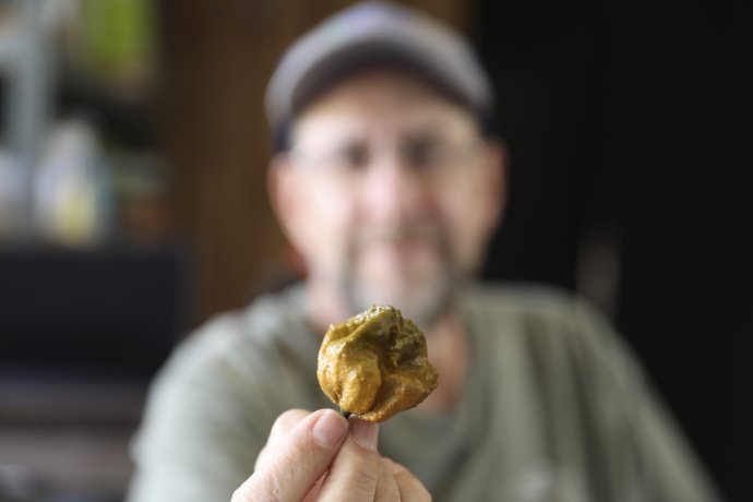 Pestovateľ Ed Currie a jeho Pepper X. Foto – AP