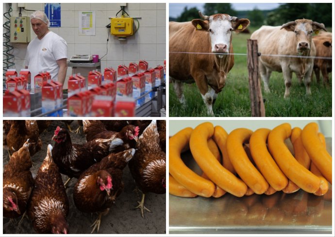 Agrár- és élelmiszeripari termékek illusztrációs fotója Fotó - Denník N és TASR
