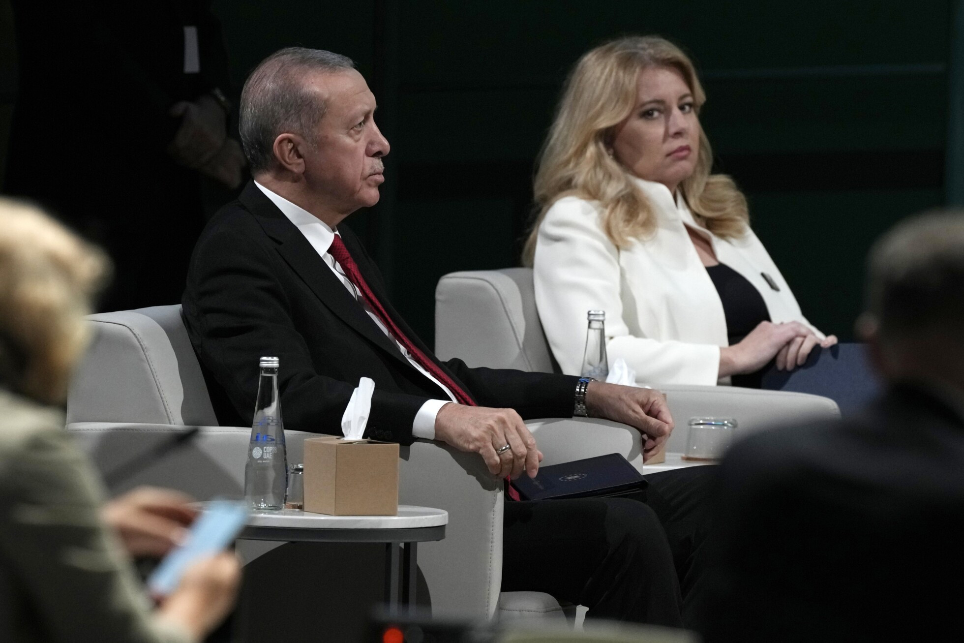 Zobraziť väčšie rozlíšenie