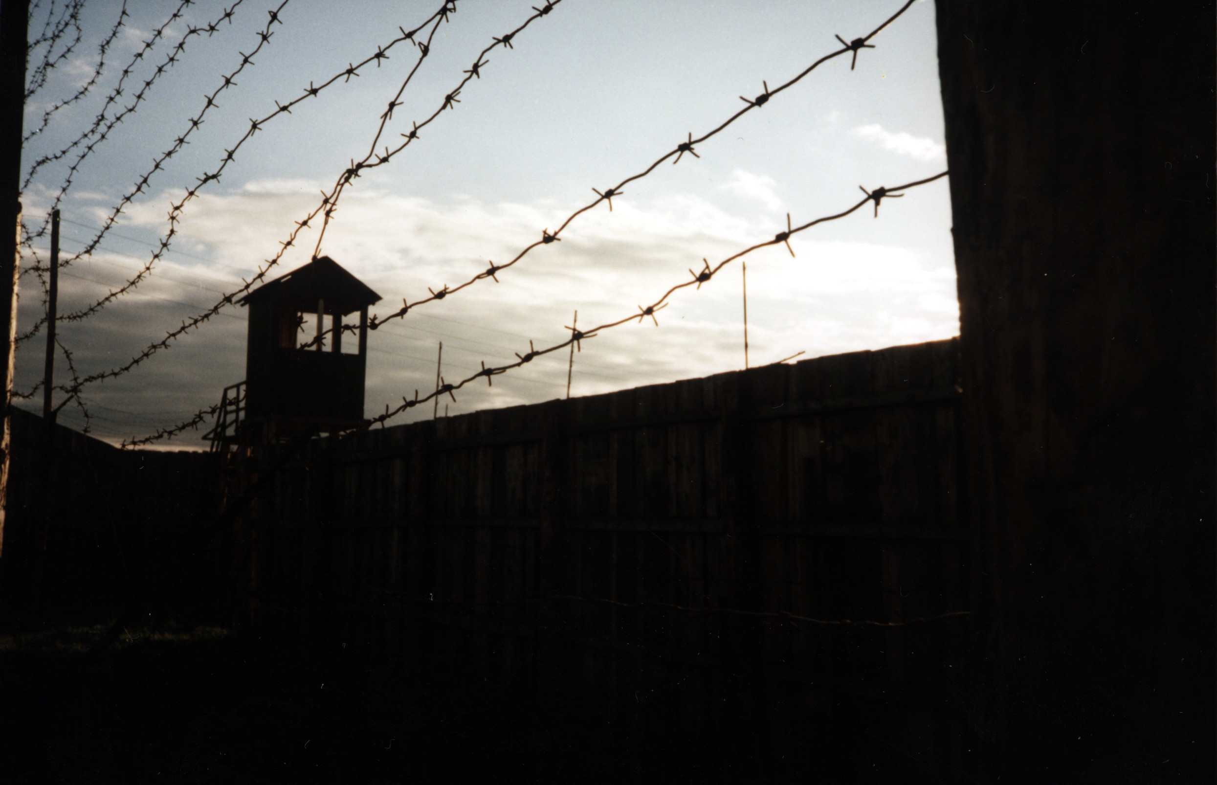 Ruská ruleta je tu stále obľúbená. Aktivistka vysvetľuje, prečo ruskí väzni riskujú život vo vojne