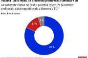 Väčšina Slovákov považuje členstvo v EÚ za dobrú vec, hlasovať v eurovoľbách chce viac ľudí ako naposledy