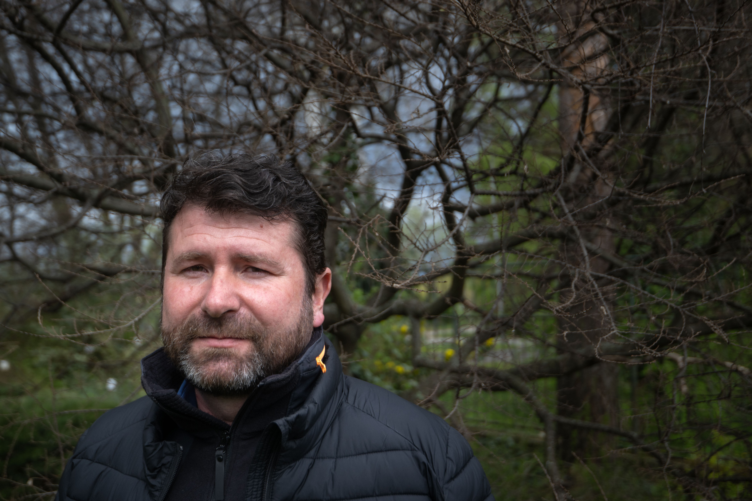 Odborník na zeleň: Ľudia si myslia, že strom si poradí so všetkým, ale nie je to tak