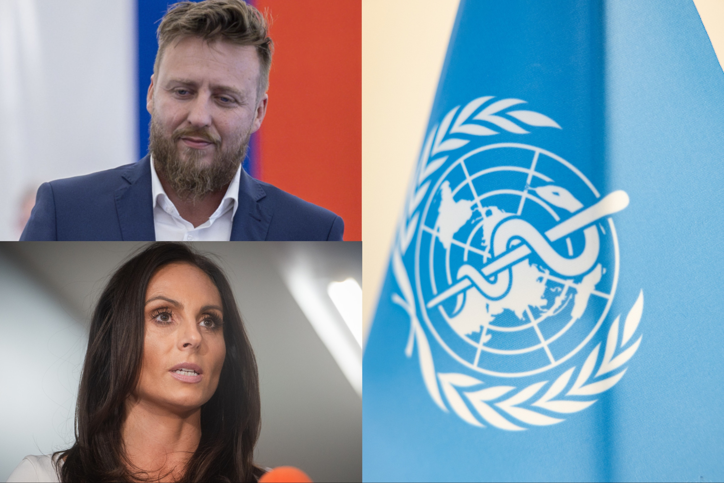 Kotlár proti celému svetu: Slovensko sa ako jediné dištancovalo od nových zdravotníckych postupov WHO