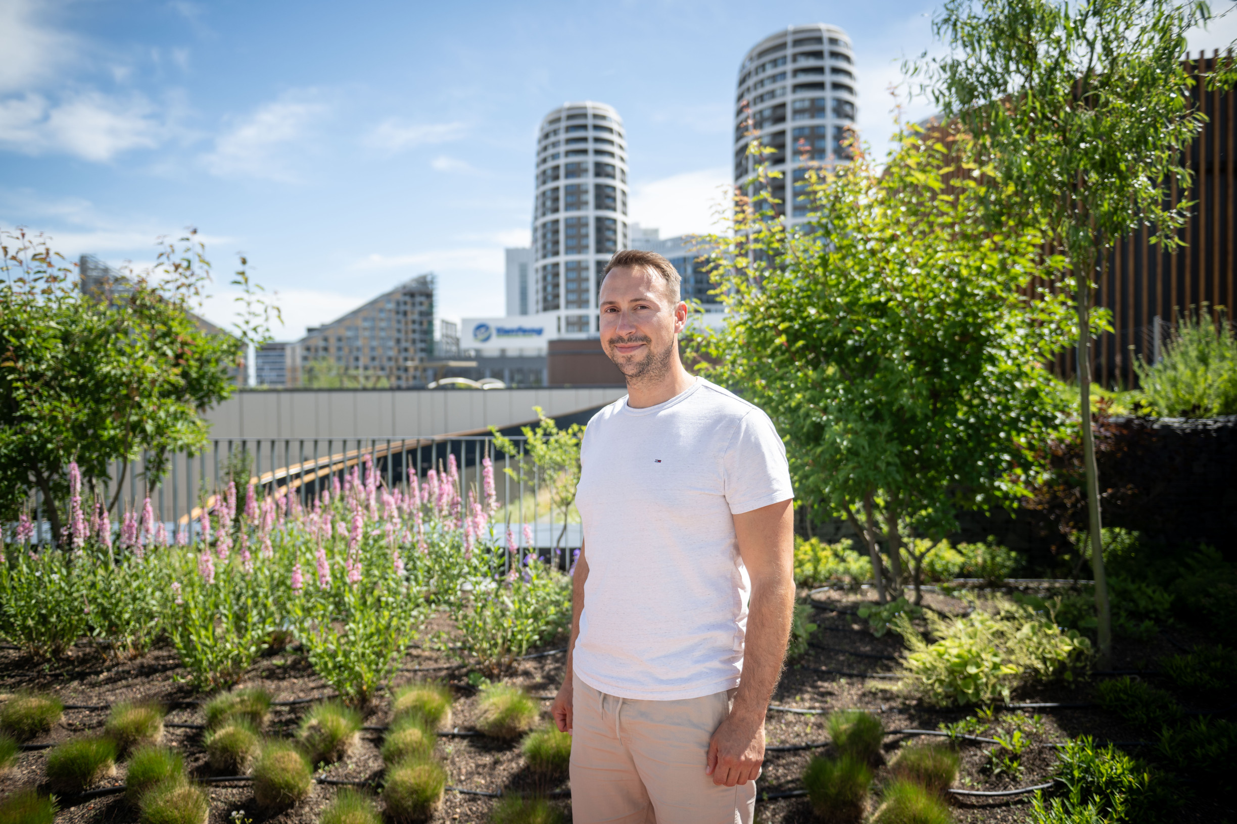 Zelené strechy môžu slúžiť ako bežné záhrady, ľudia na nich pestujú aj jahody či paradajky, vraví odborník