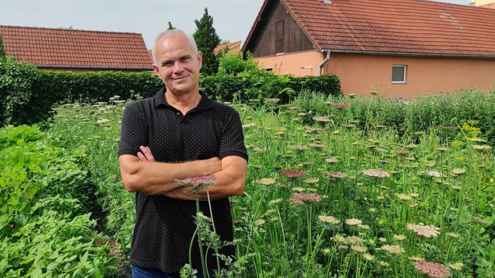 Zobraziť väčšie rozlíšenie