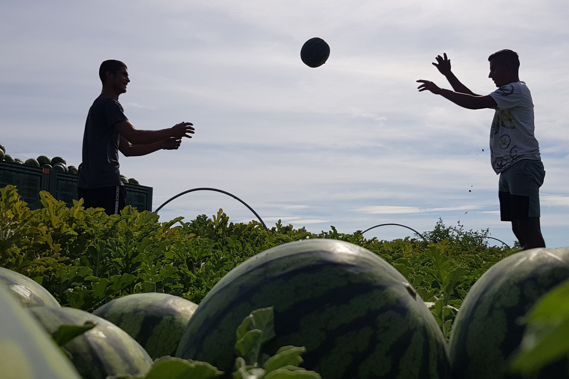Zobraziť väčšie rozlíšenie
