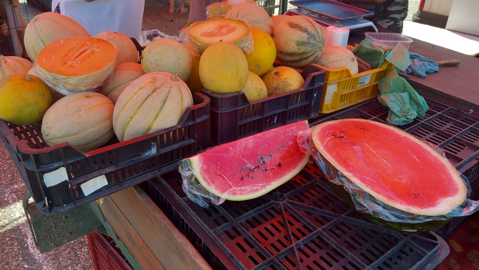 Zobraziť väčšie rozlíšenie