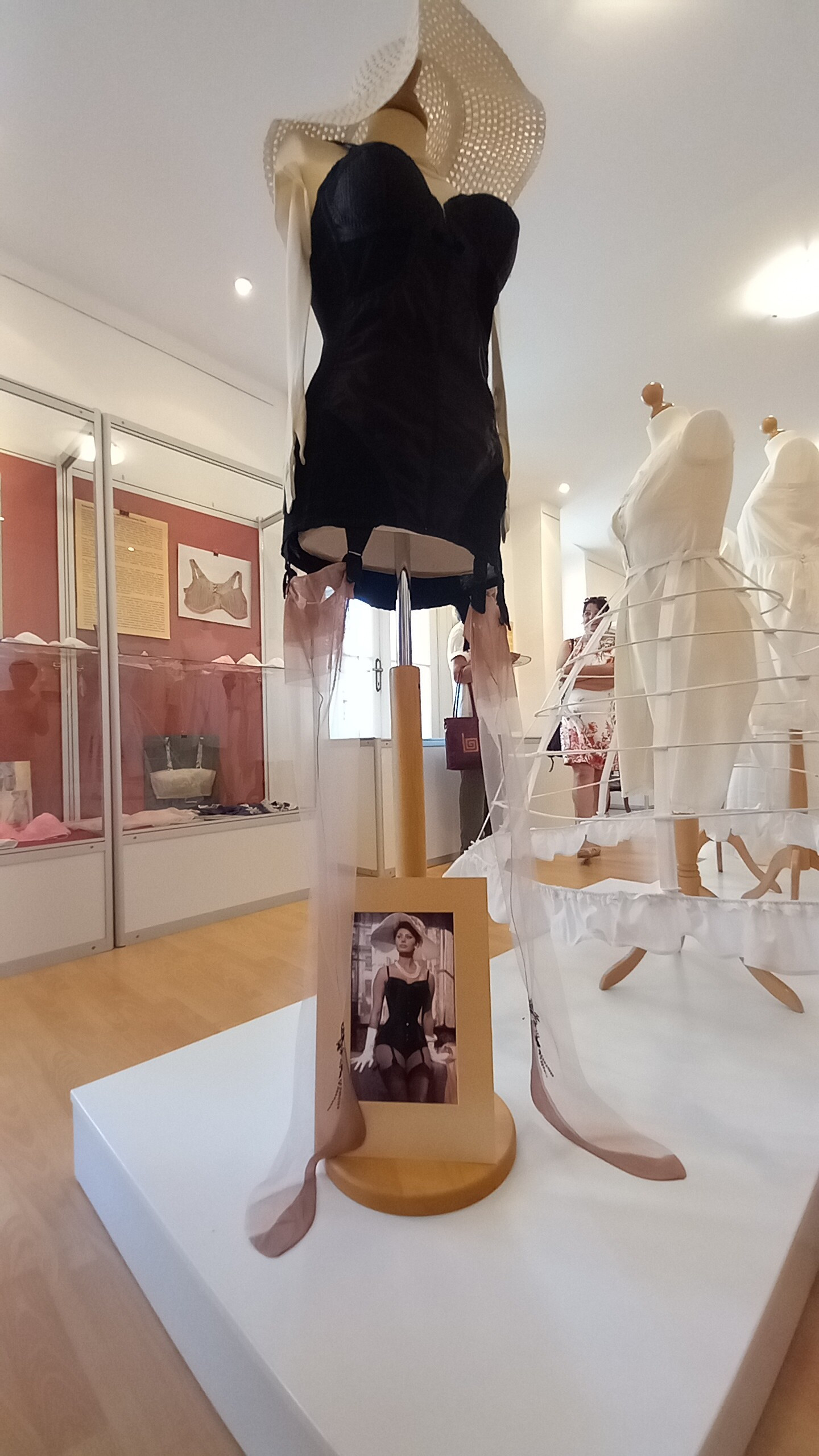 Zobraziť väčšie rozlíšenie