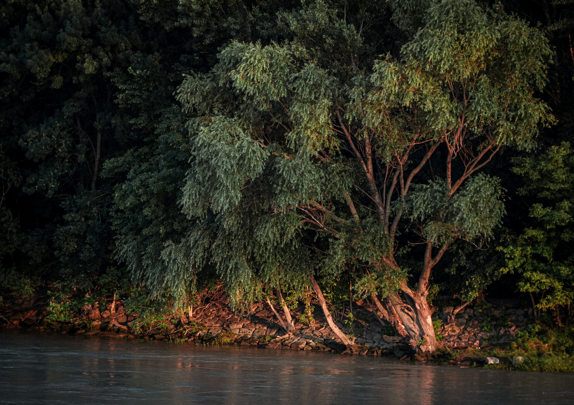 Zobraziť väčšie rozlíšenie