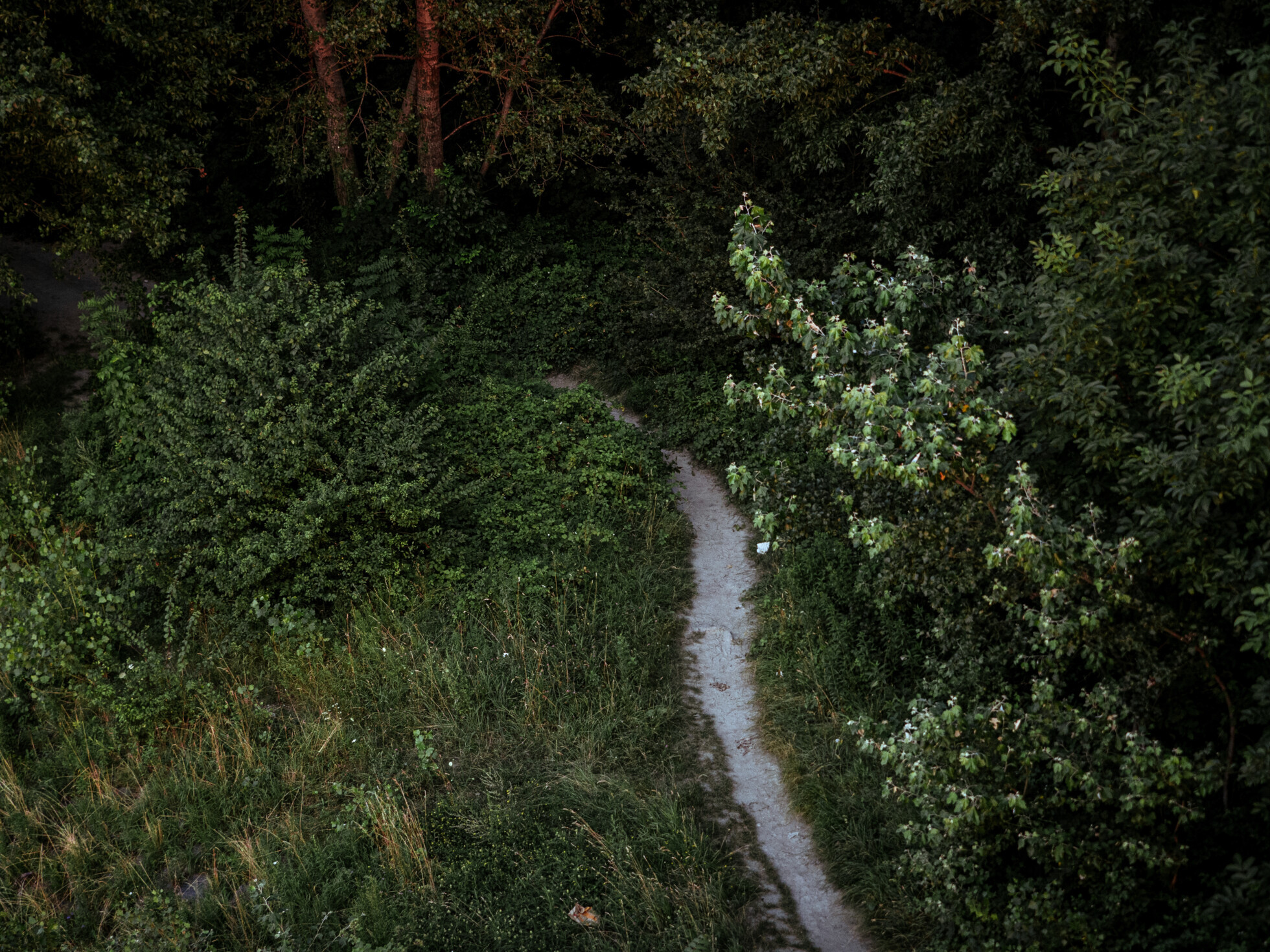 Zobraziť väčšie rozlíšenie