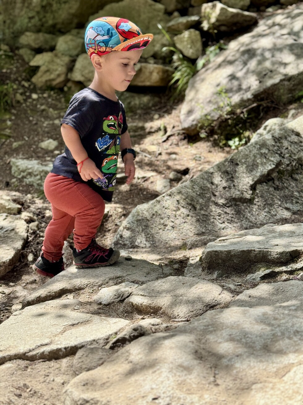 Zobraziť väčšie rozlíšenie