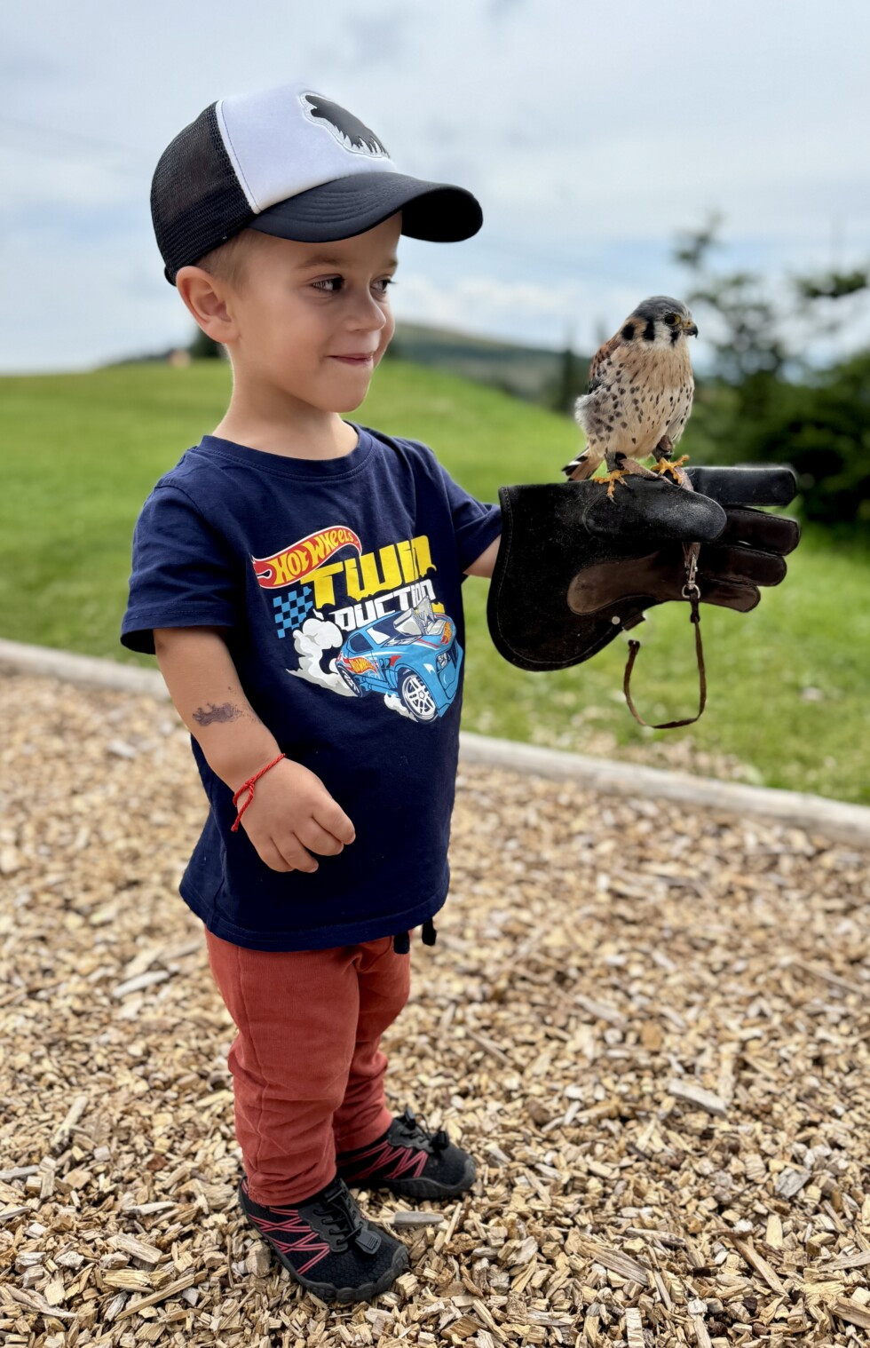 Zobraziť väčšie rozlíšenie