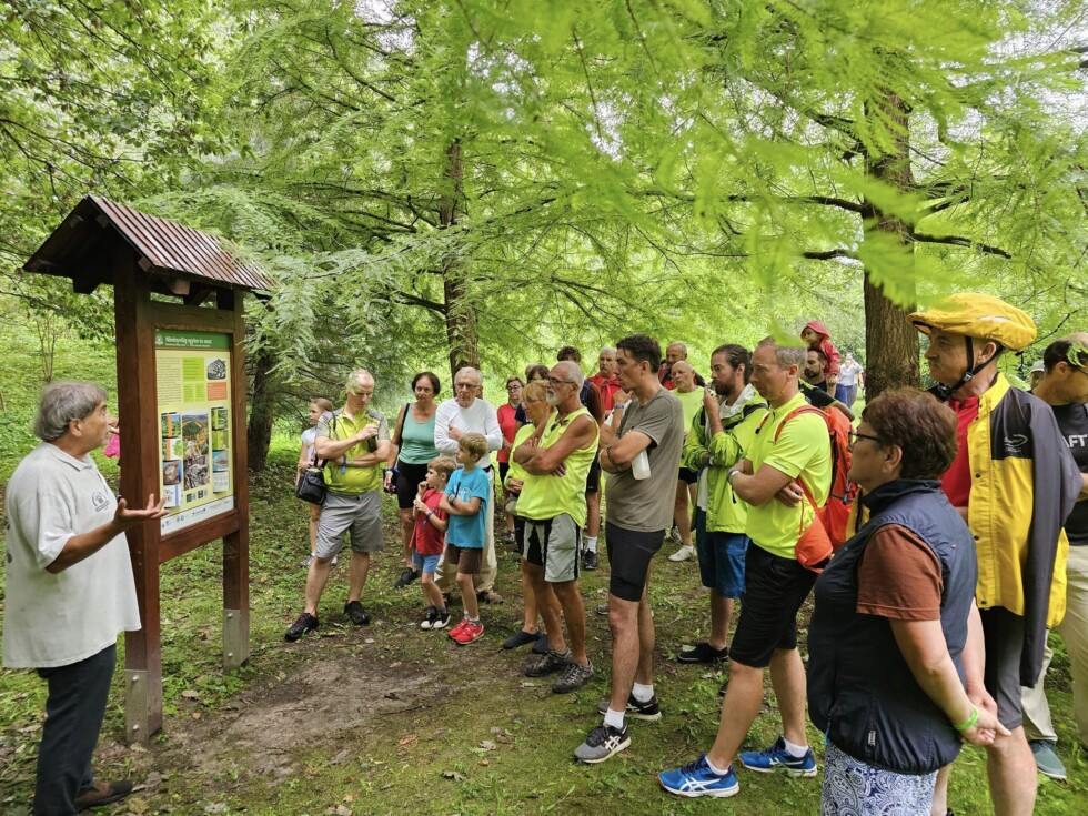 Zobraziť väčšie rozlíšenie
