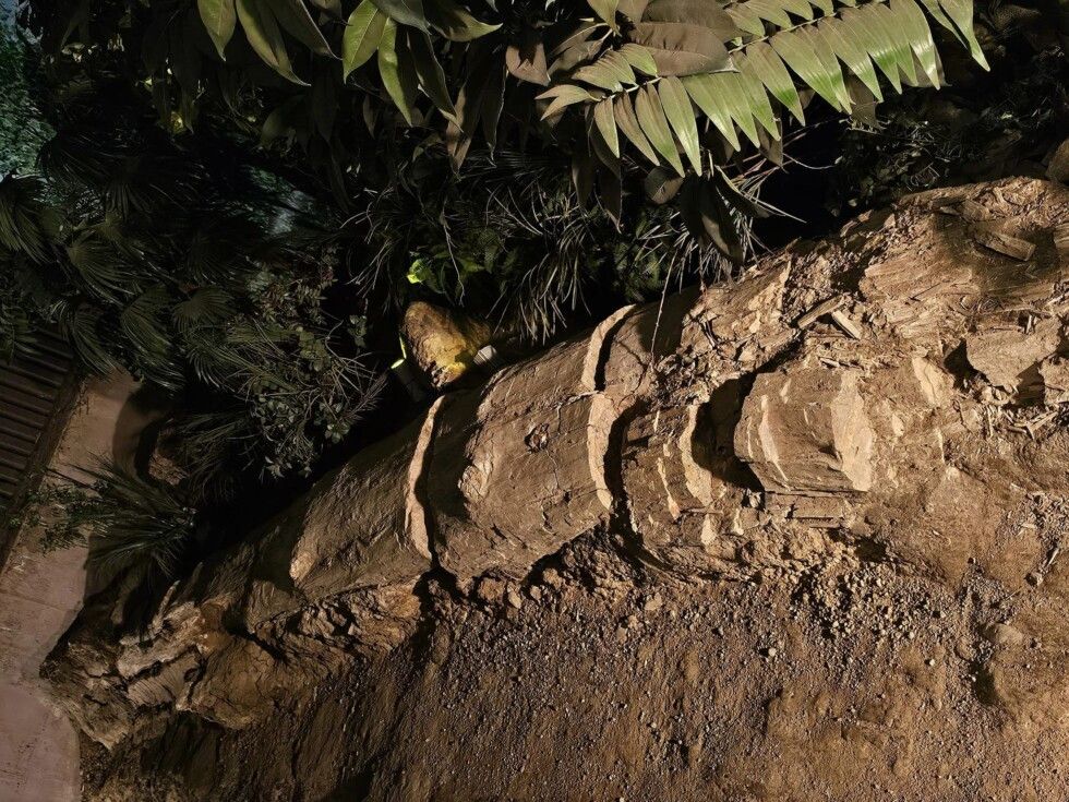 Zobraziť väčšie rozlíšenie