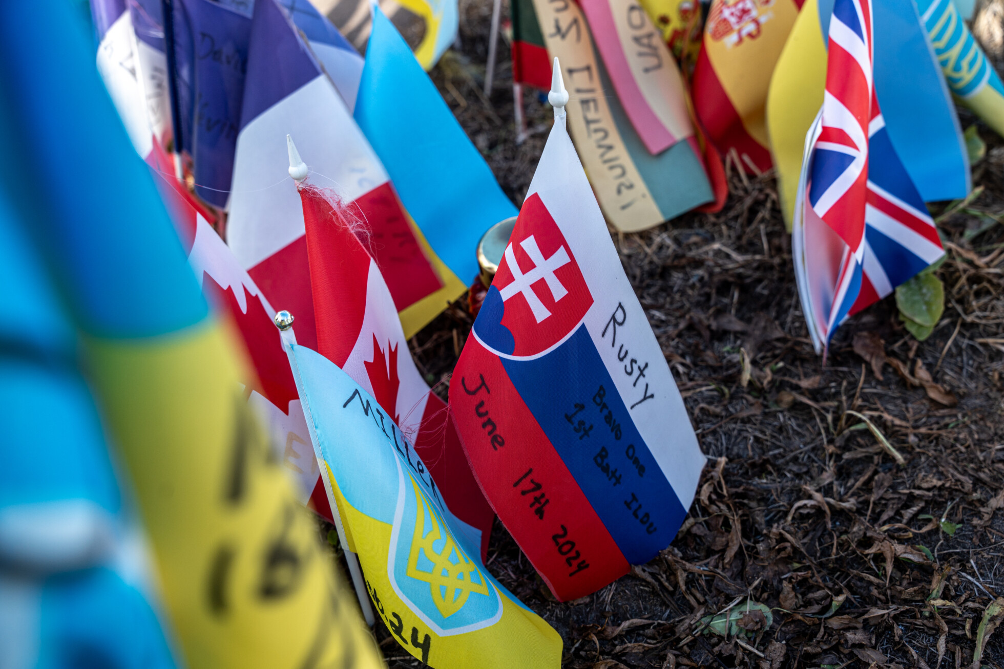 Zobraziť väčšie rozlíšenie