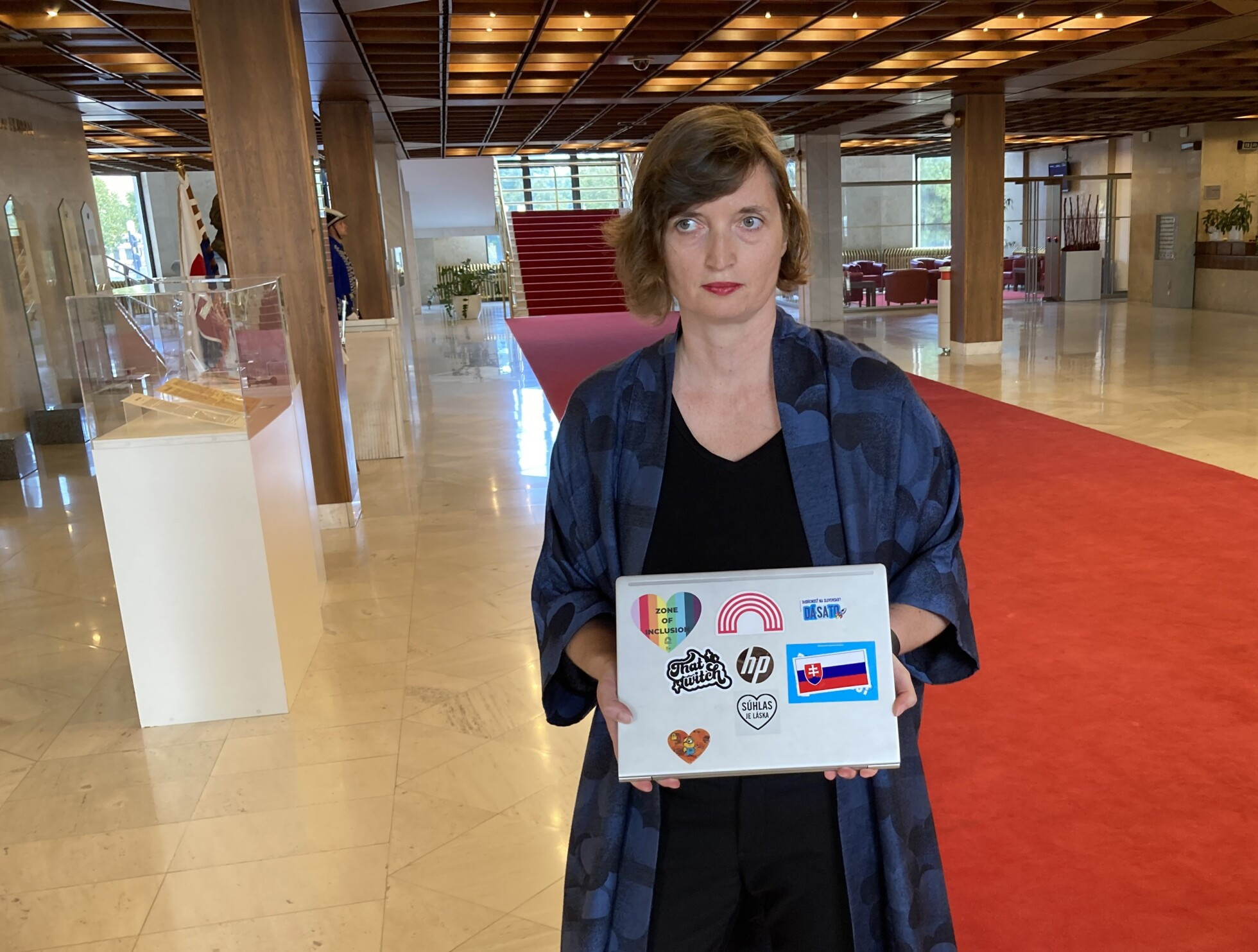 Zobraziť väčšie rozlíšenie