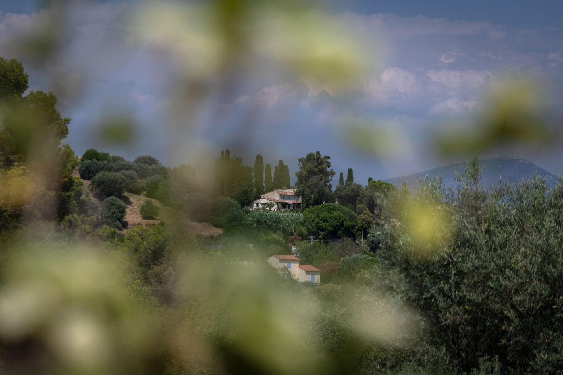 Zobraziť väčšie rozlíšenie