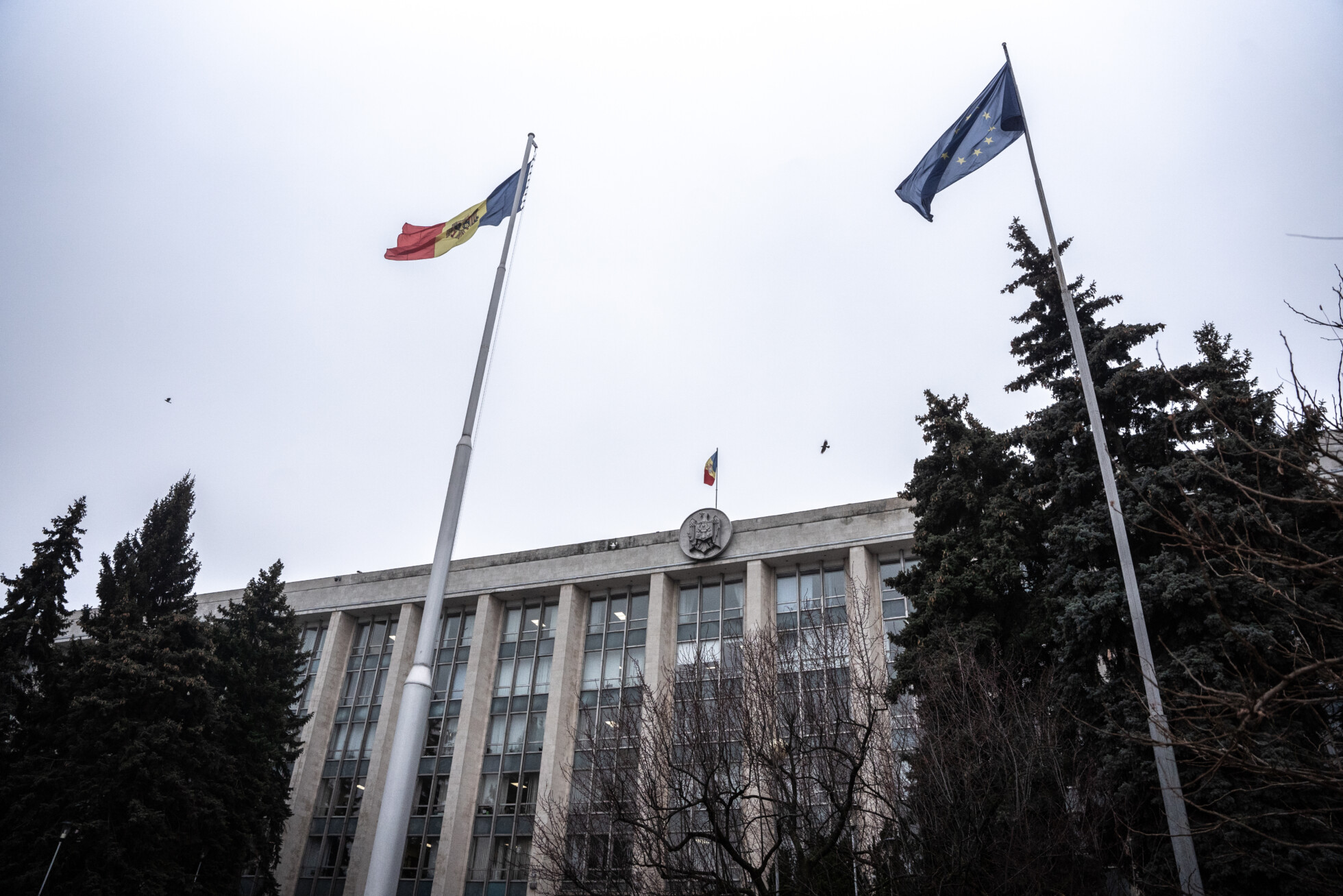 Zobraziť väčšie rozlíšenie