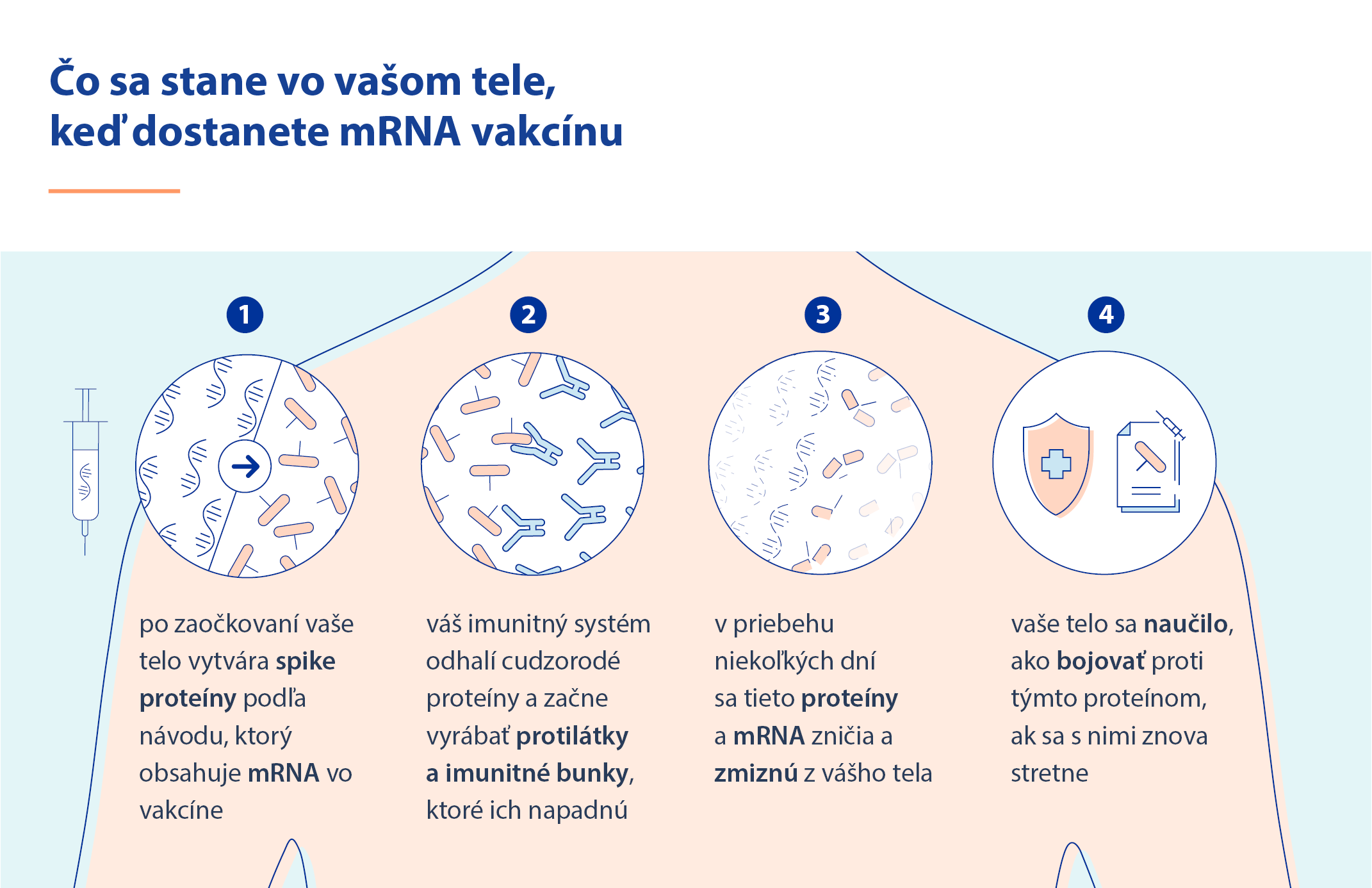 Čo sa deje v&nbsp;krvi po očkovaní mRNA vakcínou? A&nbsp;ako ovplyvňuje transfúziu? (Odpovede na najčastejšie otázky o&nbsp;mRNA vakcínach)