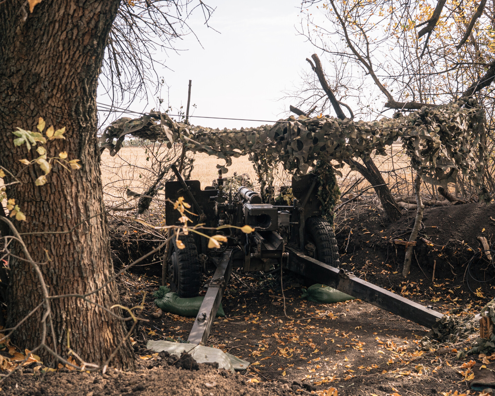 Zobraziť väčšie rozlíšenie