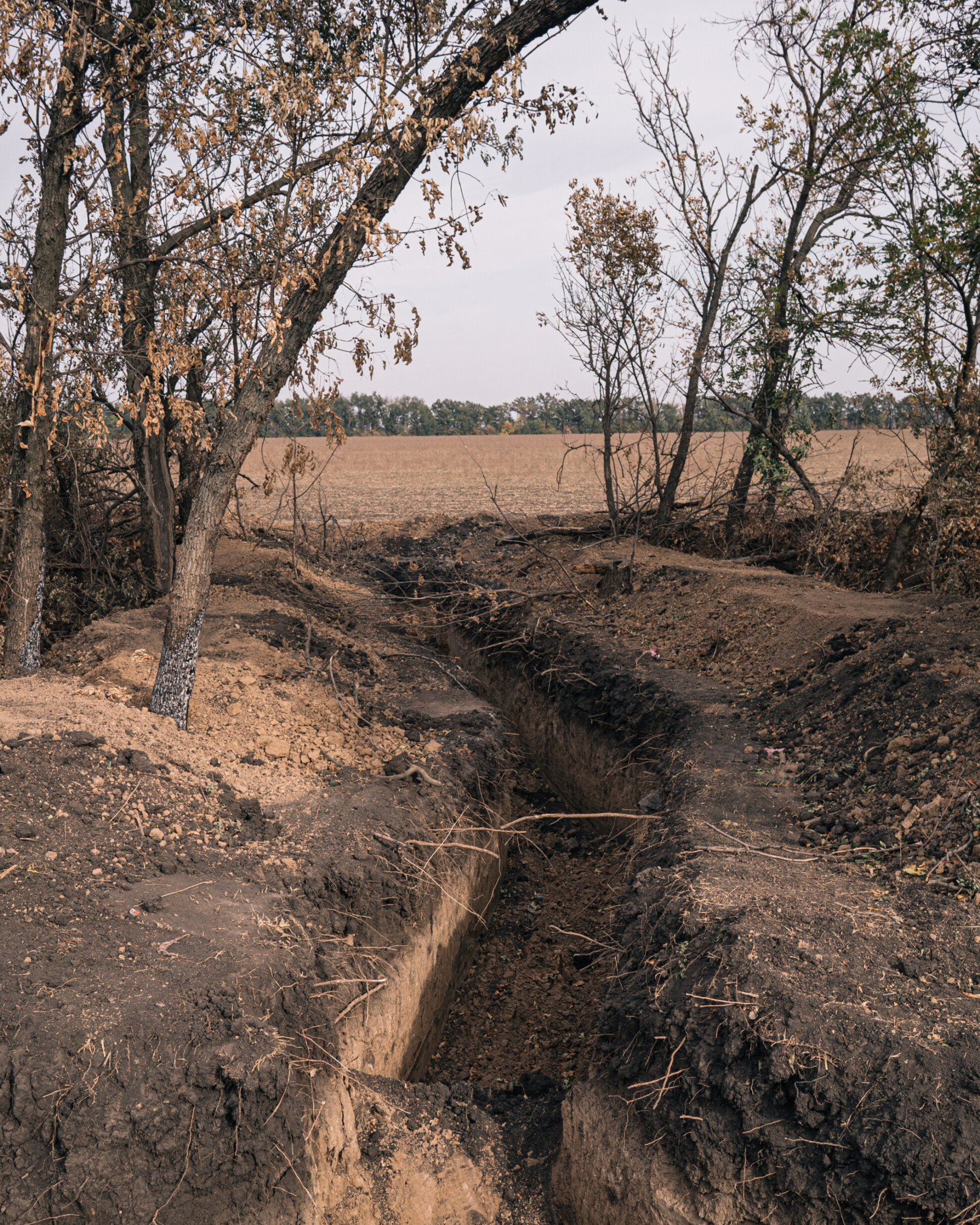 Zobraziť väčšie rozlíšenie