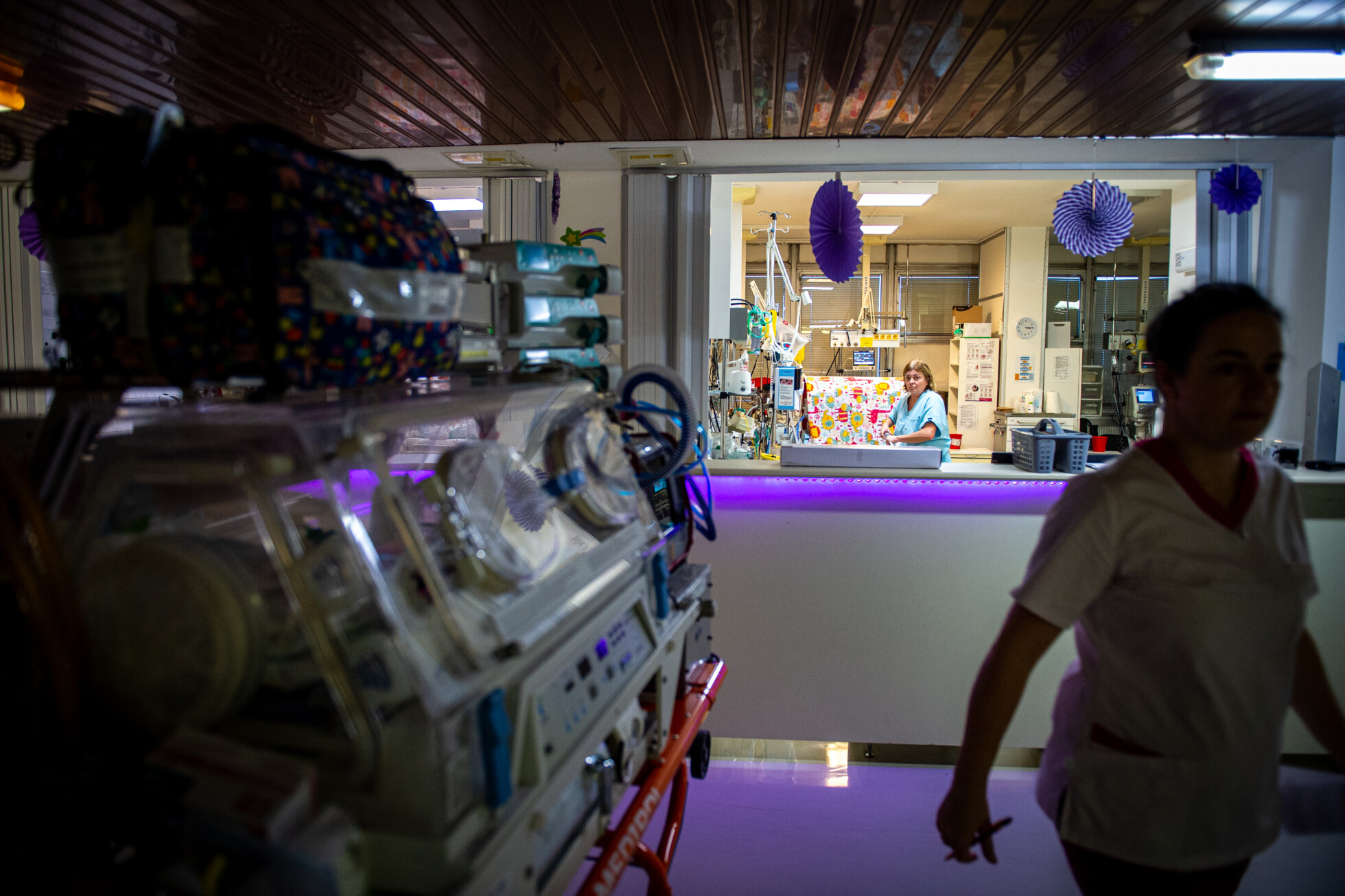 Zobraziť väčšie rozlíšenie