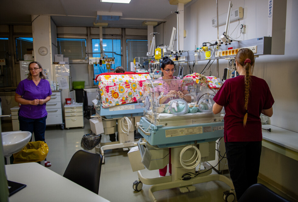 Zobraziť väčšie rozlíšenie