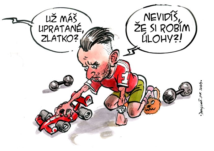 Édesem, végeztél már a takarítással? Nem látod, hogy a feladataimat végzem? Matúš Šutaj Eštok (Hlas) belügyminiszter. Karikatúra - Shooty