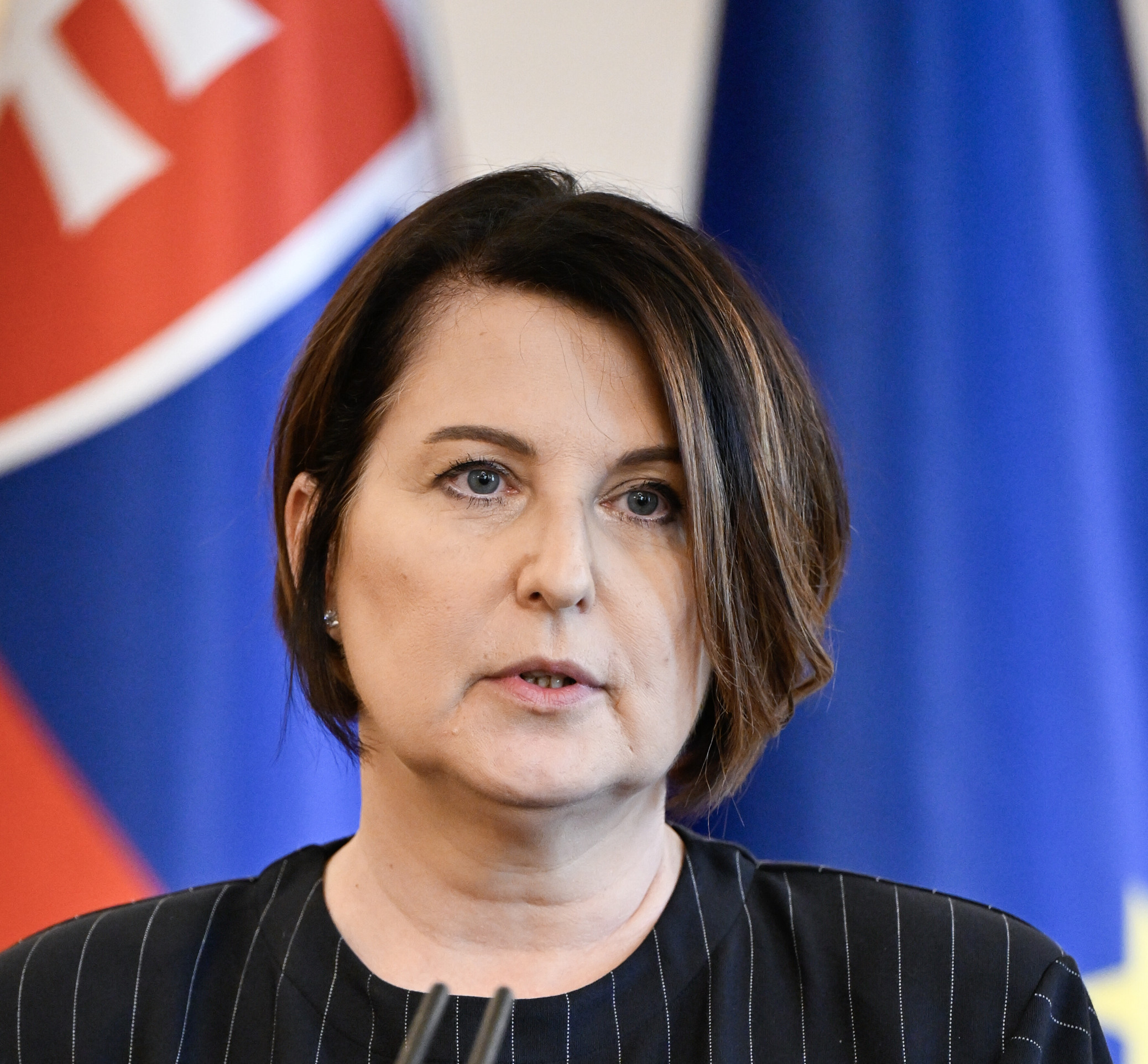 Zobraziť väčšie rozlíšenie