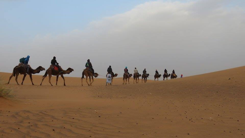 Zobraziť väčšie rozlíšenie