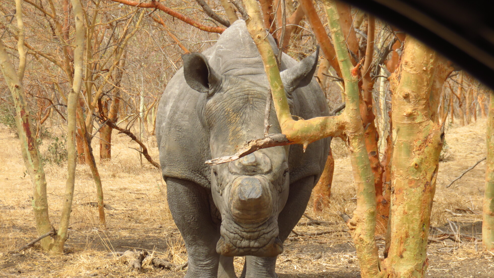 Zobraziť väčšie rozlíšenie