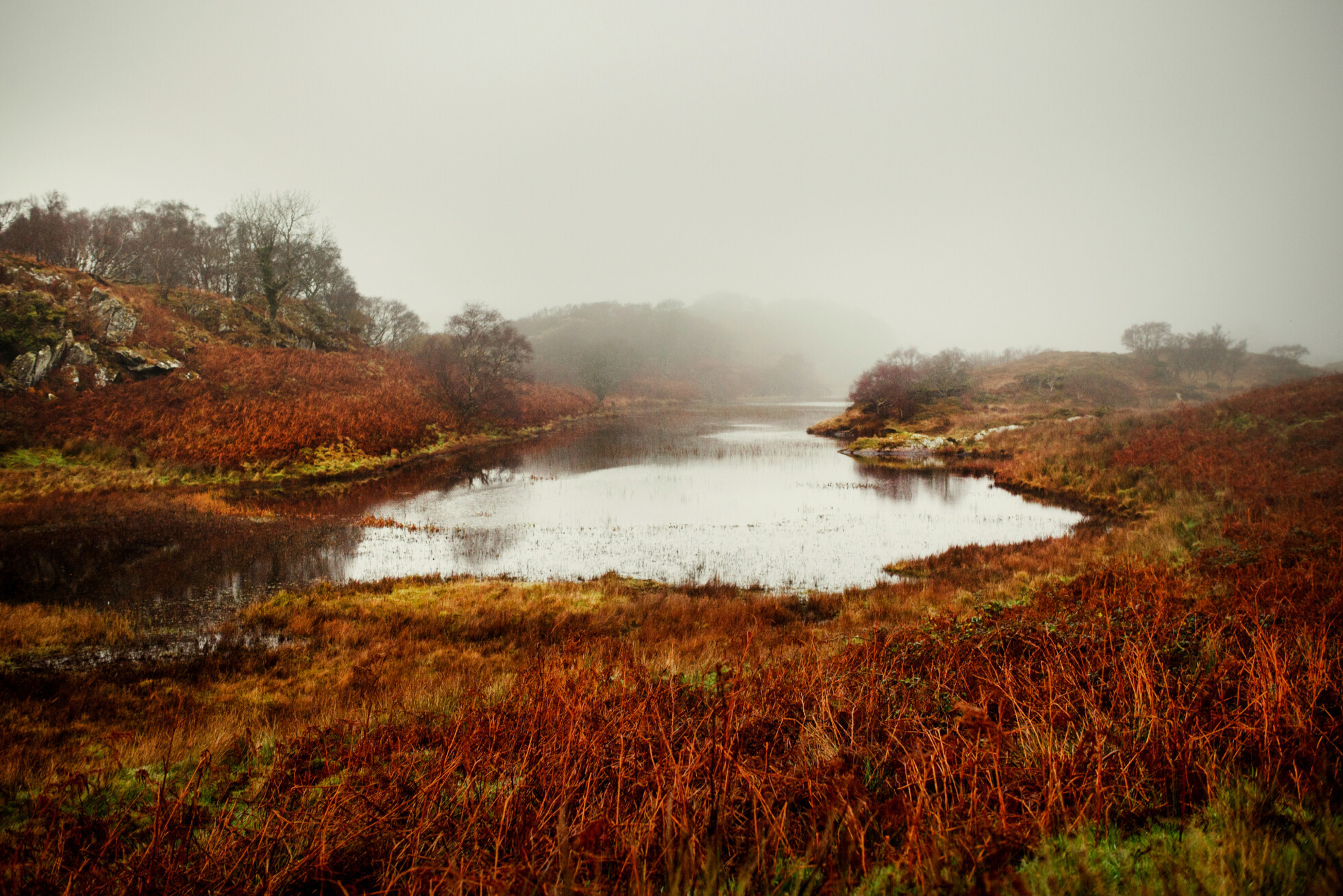 Zobraziť väčšie rozlíšenie