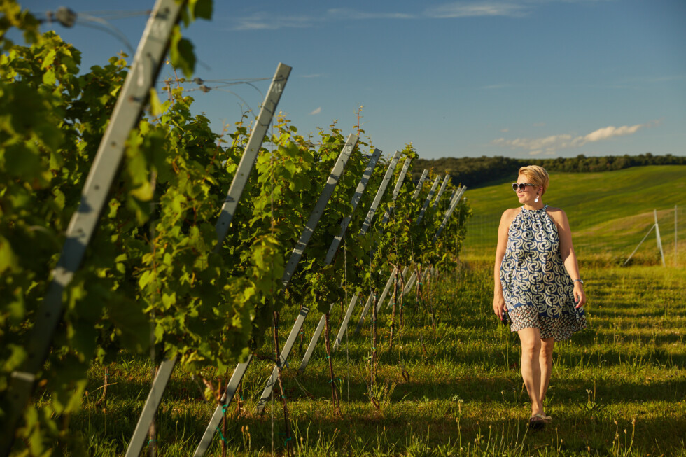 Zobraziť väčšie rozlíšenie