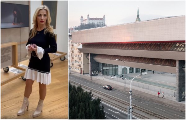 Ministerka, ktorá maľuje kópie Moneta, ide rozprávať, čo sa má vystavovať v&nbsp;SNG? Umelecká scéna reaguje na video z&nbsp;galérie