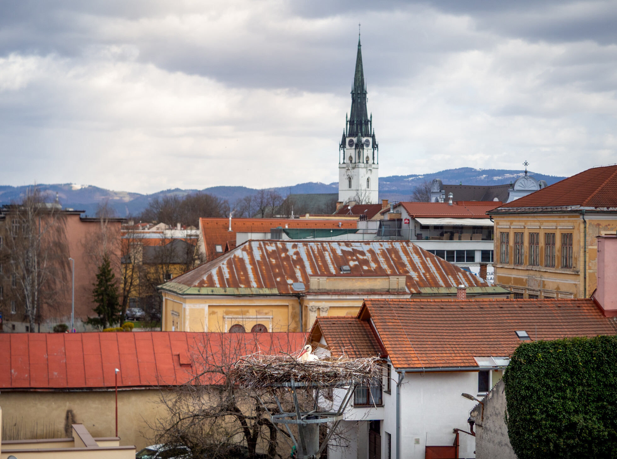 Zobraziť väčšie rozlíšenie