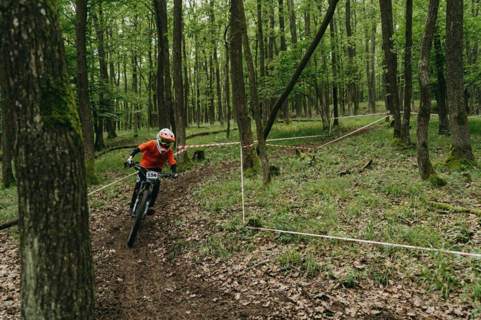 Zobraziť väčšie rozlíšenie