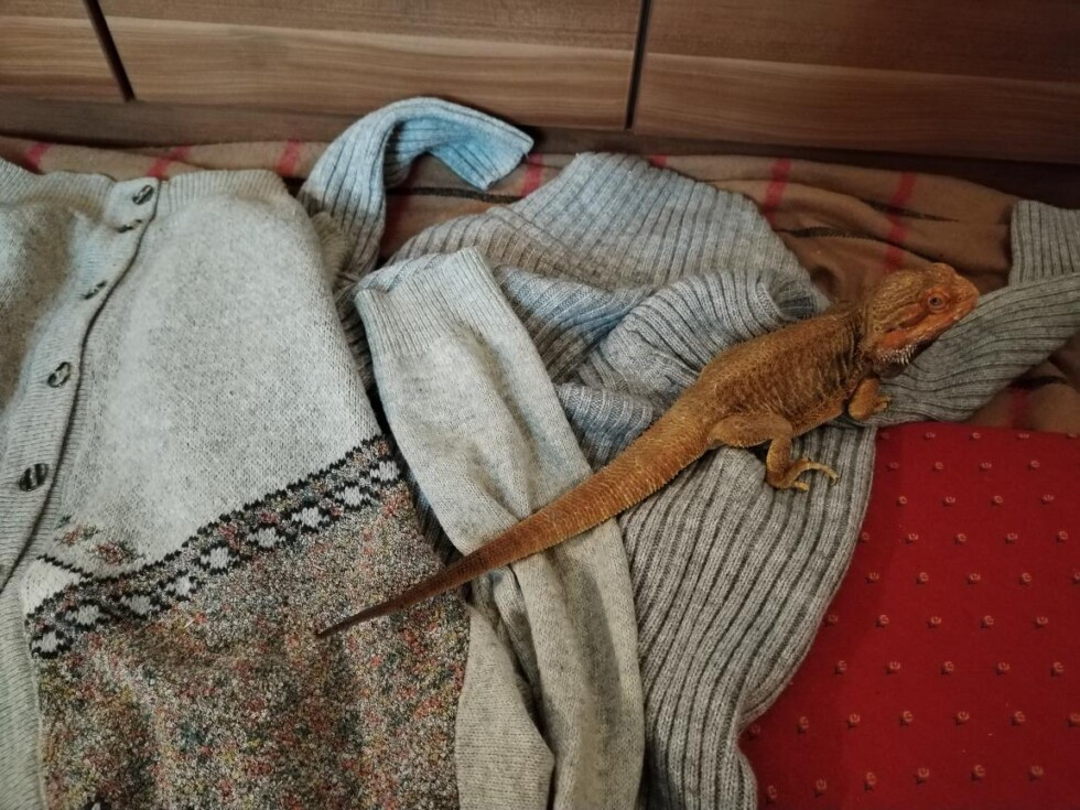 Zobrazit větší rozlišení