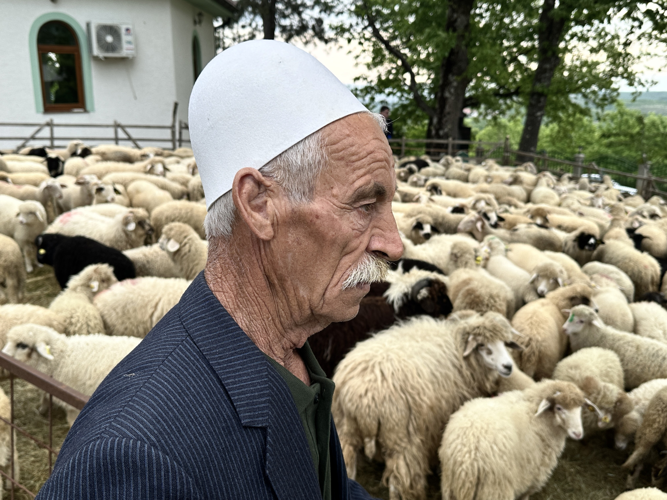 Mlčanie jahniat na balkánsky spôsob: ako v Kosove oslavujú krvavý Deň svätého Juraja  (+ fotogaléria)