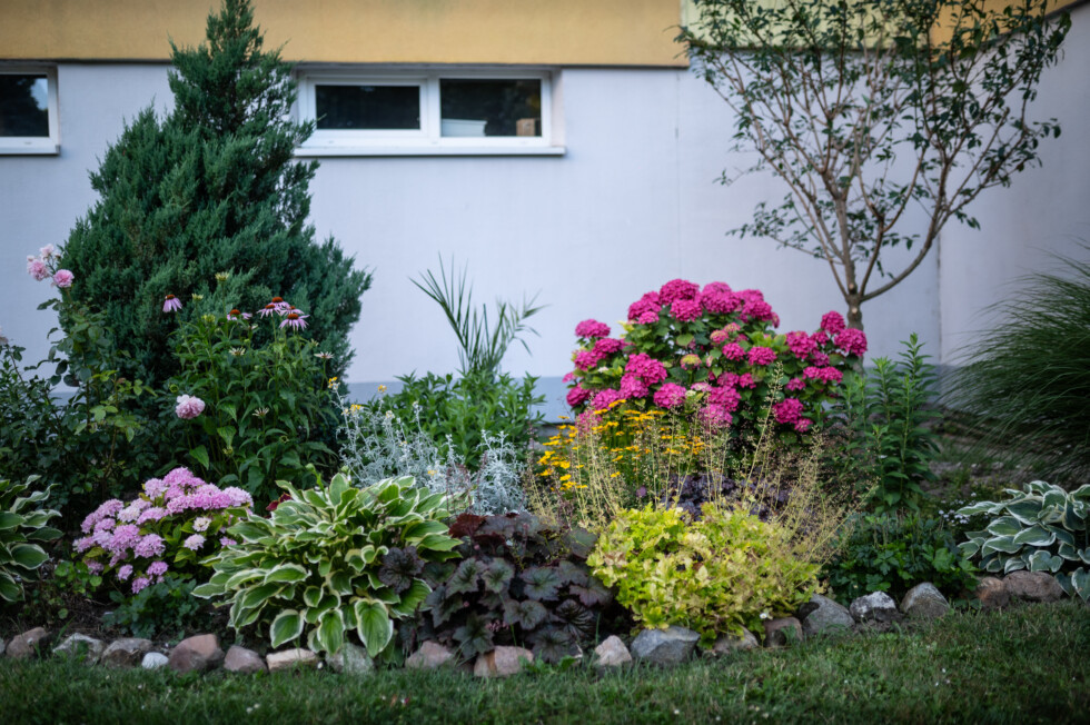 Zobraziť väčšie rozlíšenie