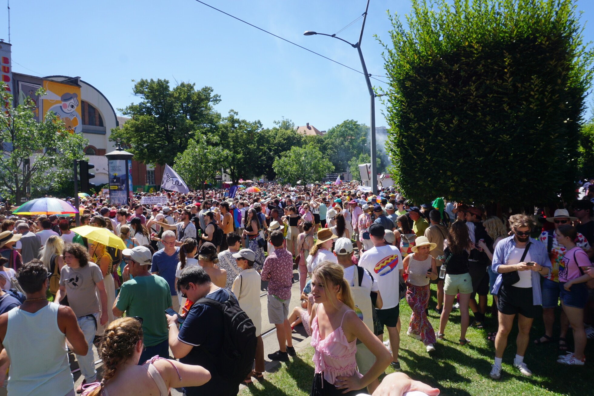 Zobraziť väčšie rozlíšenie