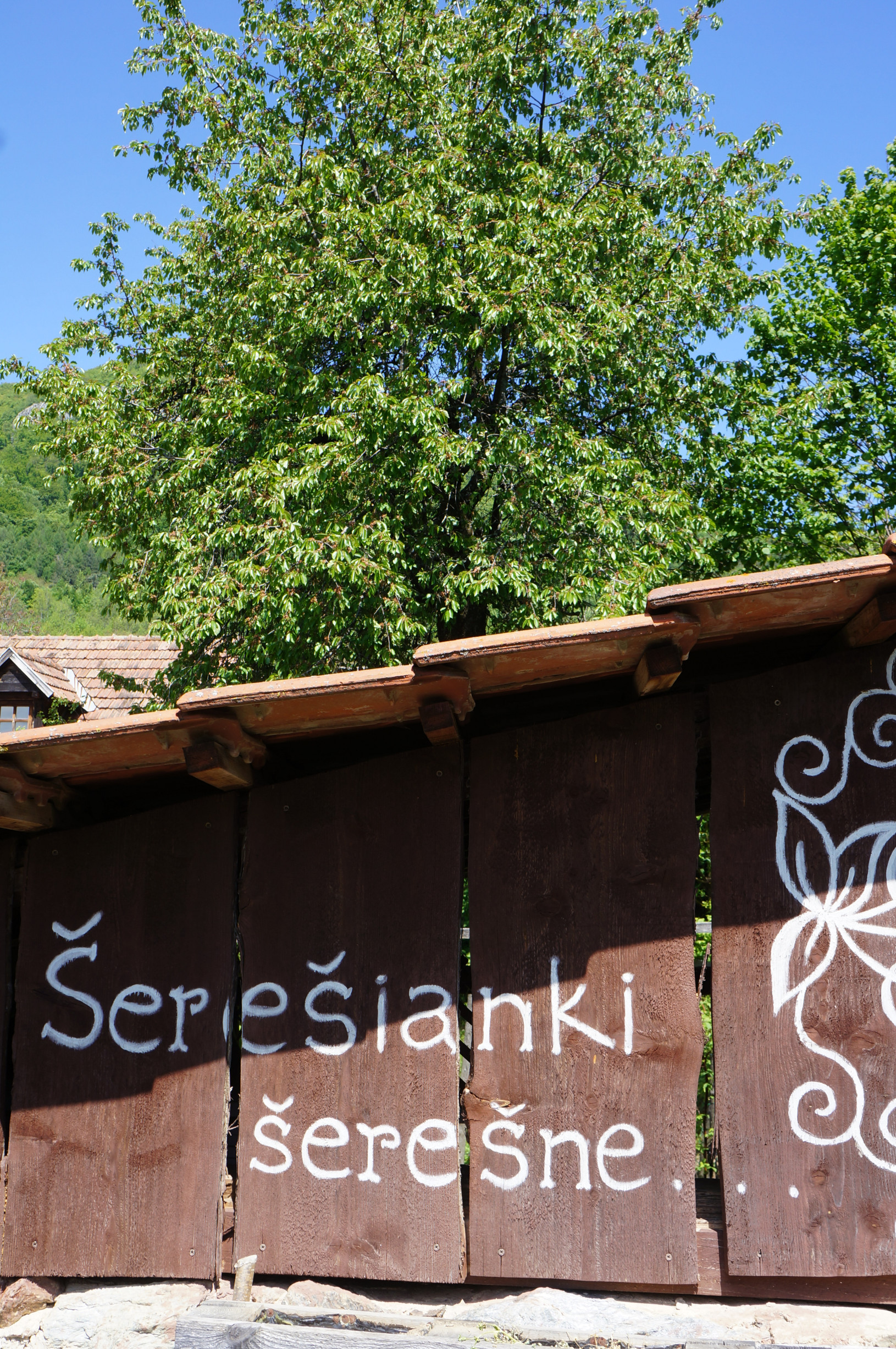 Nedeľná nekázeň: Budúcnosť vidieť len zo ženského nadhľadu