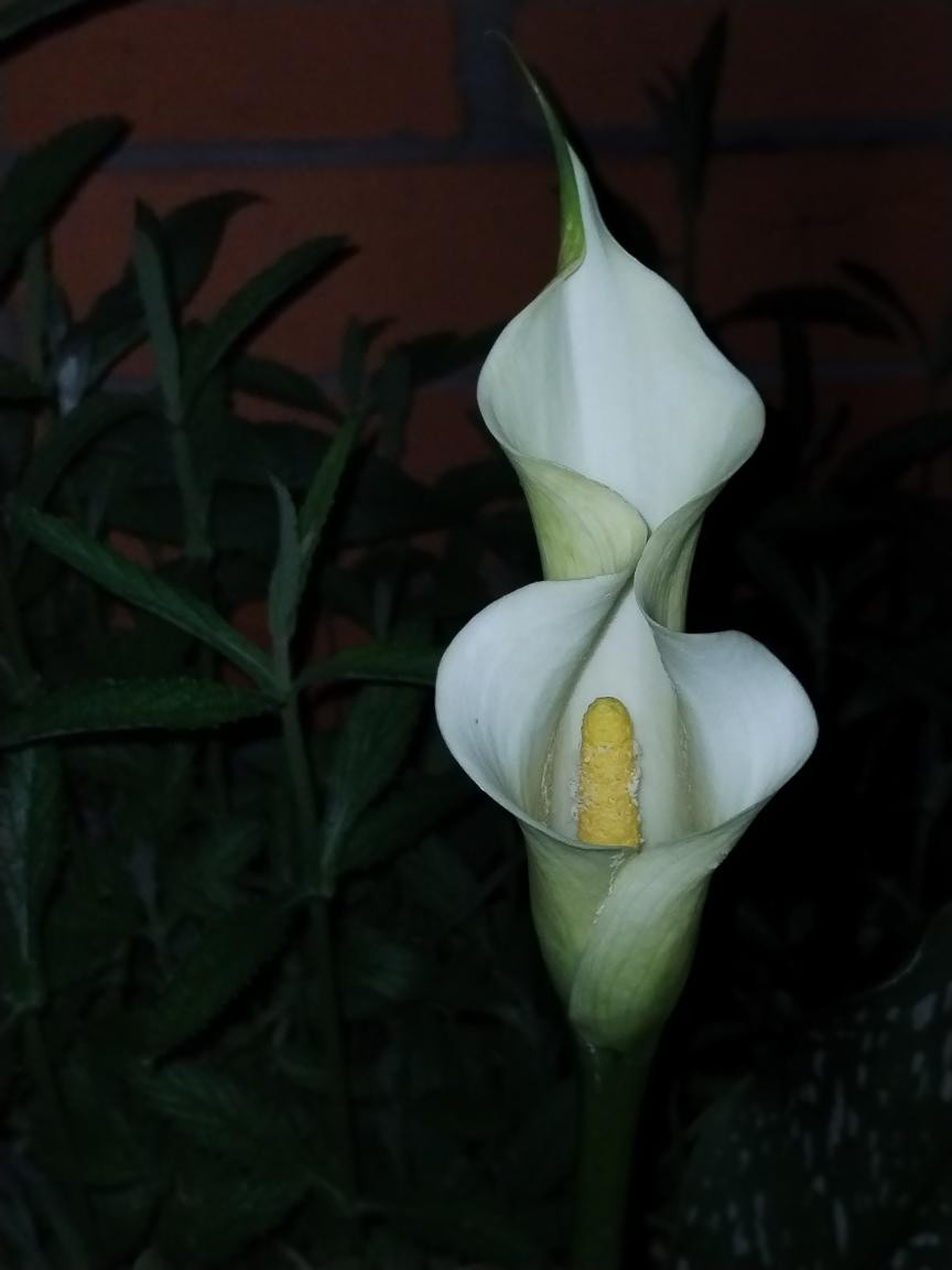 Zobrazit větší rozlišení