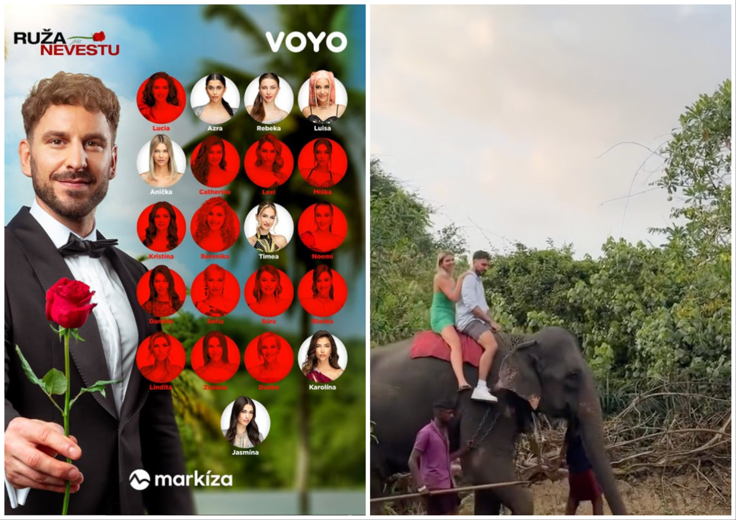 Vo finále šou Ruža pre nevestu sa vozili na slonovi. Väčšinou tomu predchádza krutý výcvik, píšu ochranári