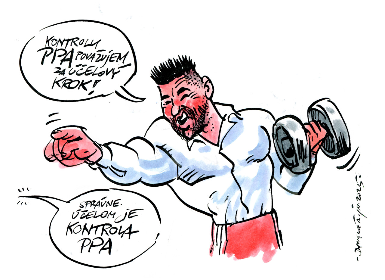 Danglár: Splniť účel (20.6.2025)