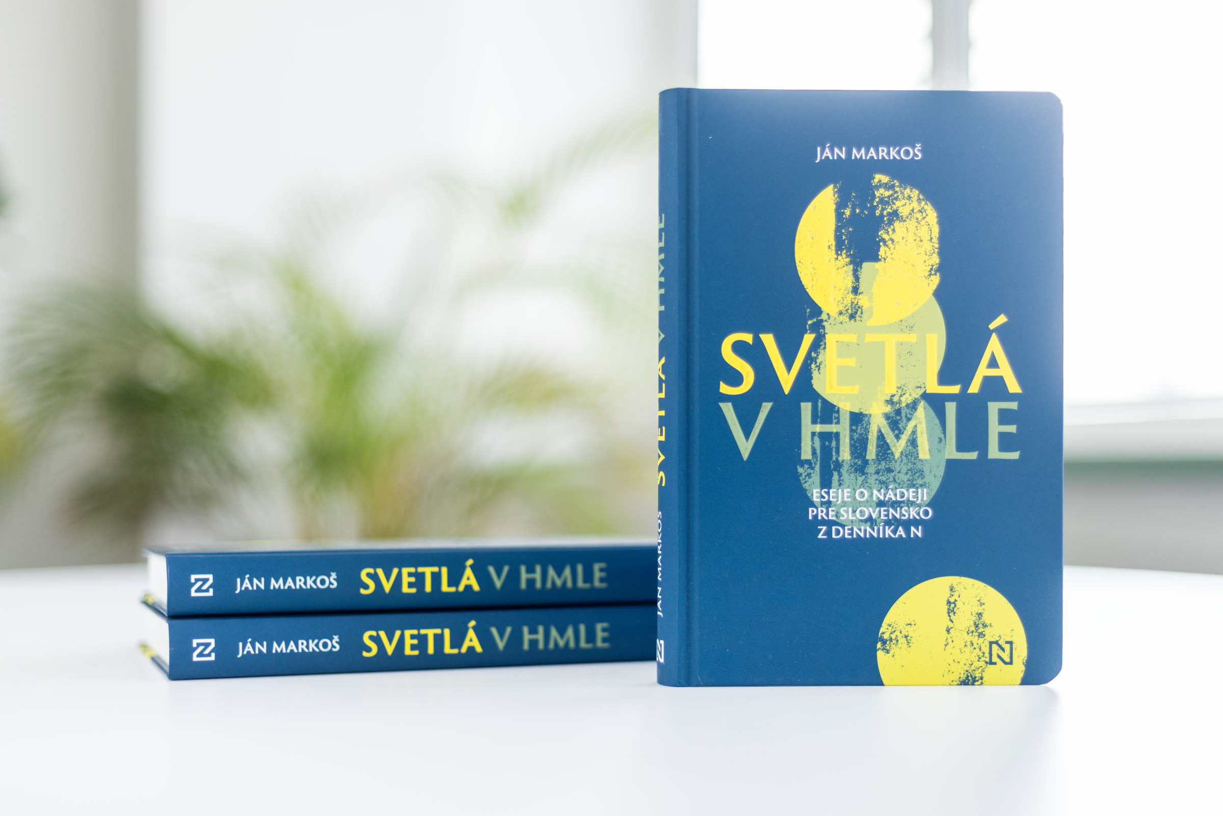 Svetlá v hmle