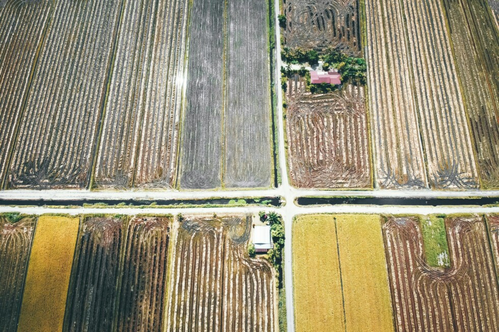 Zobraziť väčšie rozlíšenie