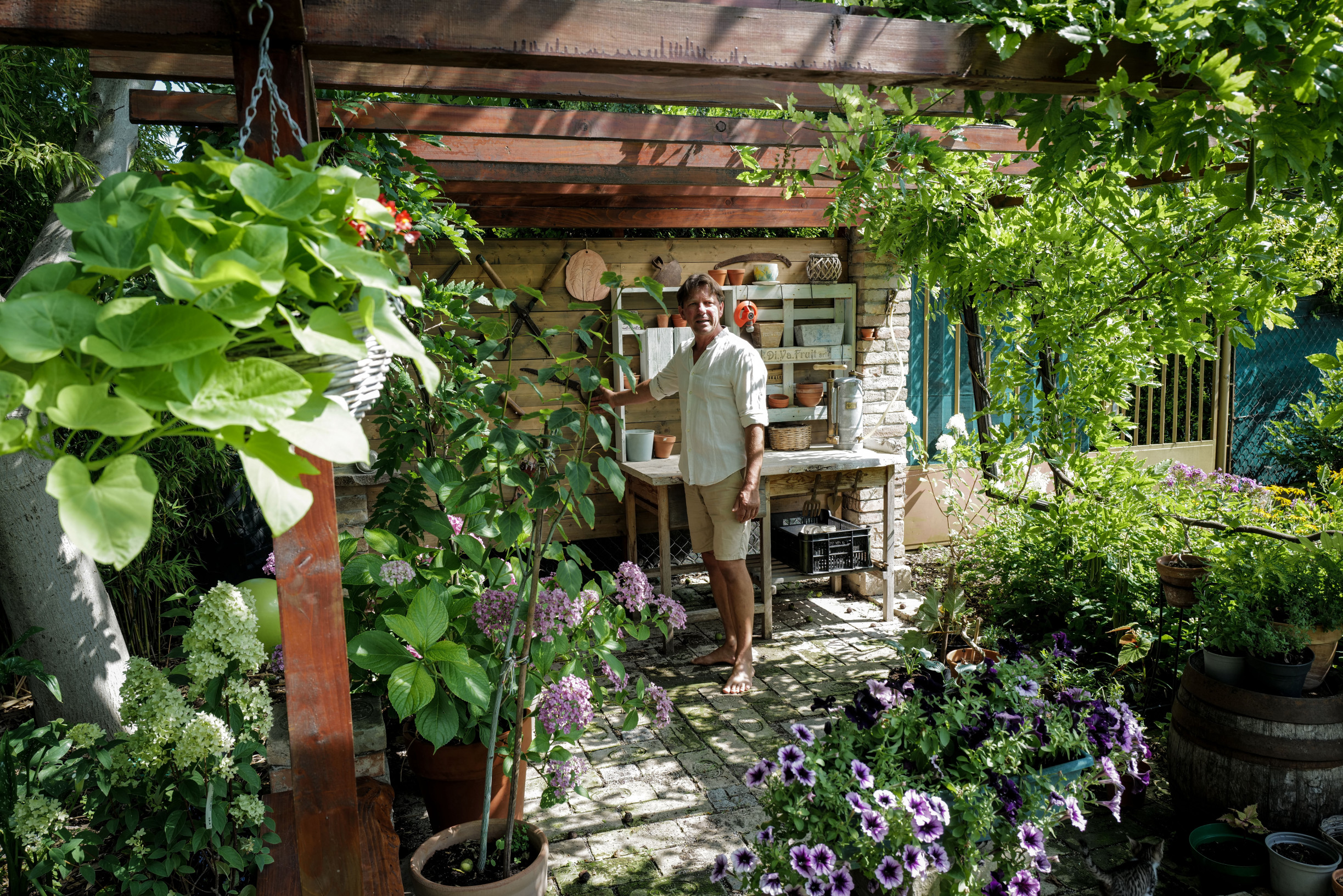 Miesto má aj burina, namiesto bazéna zvolili kúpacie jazierko. Ako vyzerá záhrada profesionálnych záhradníkov